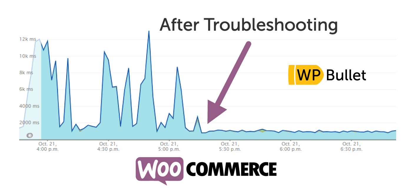 WooCommerce Slow Store Case Study - 20 sec Response Times to under 1 sec