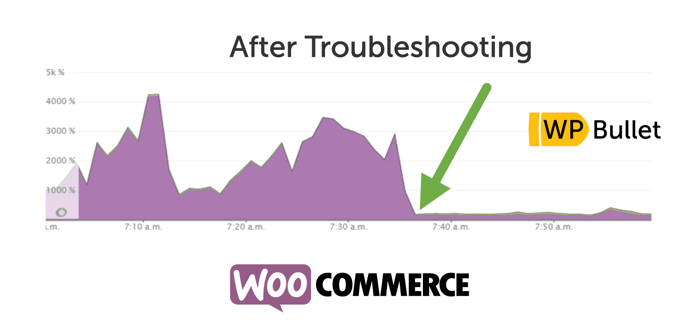 WooCommerce Slow Store Case Study - 44 secs to 1 sec Performance Troubleshooting